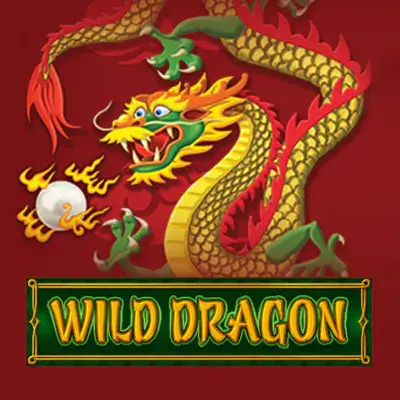Wild Dragon